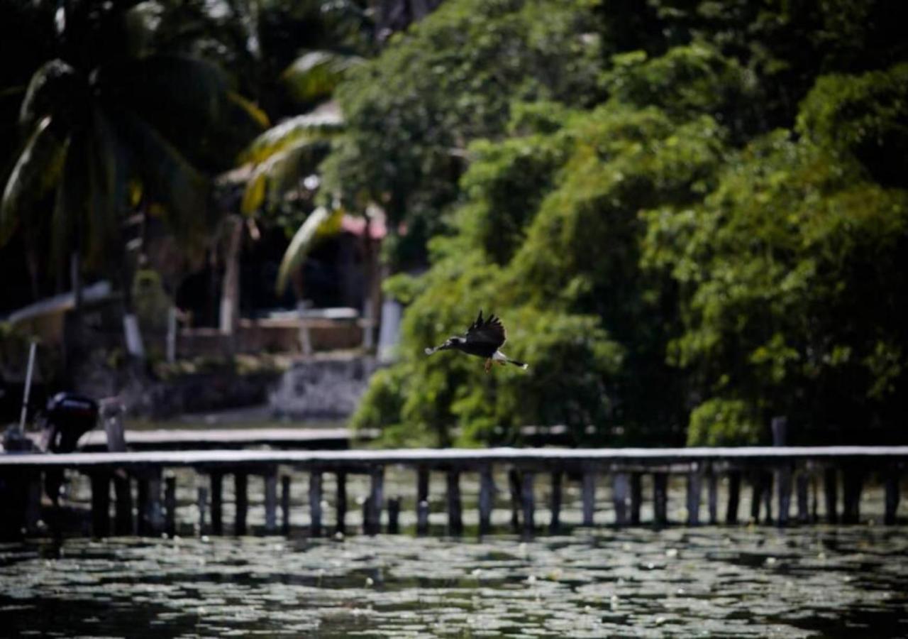 Lagoon Special Suite: Bikes & Kayaks! Bacalar Eksteriør bilde
